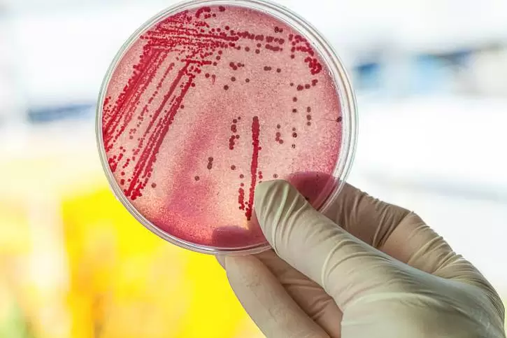 Resistência microbiana