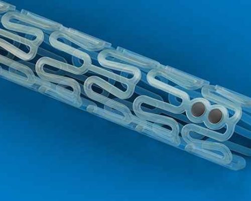 20141209115336137689e Stent absorvível